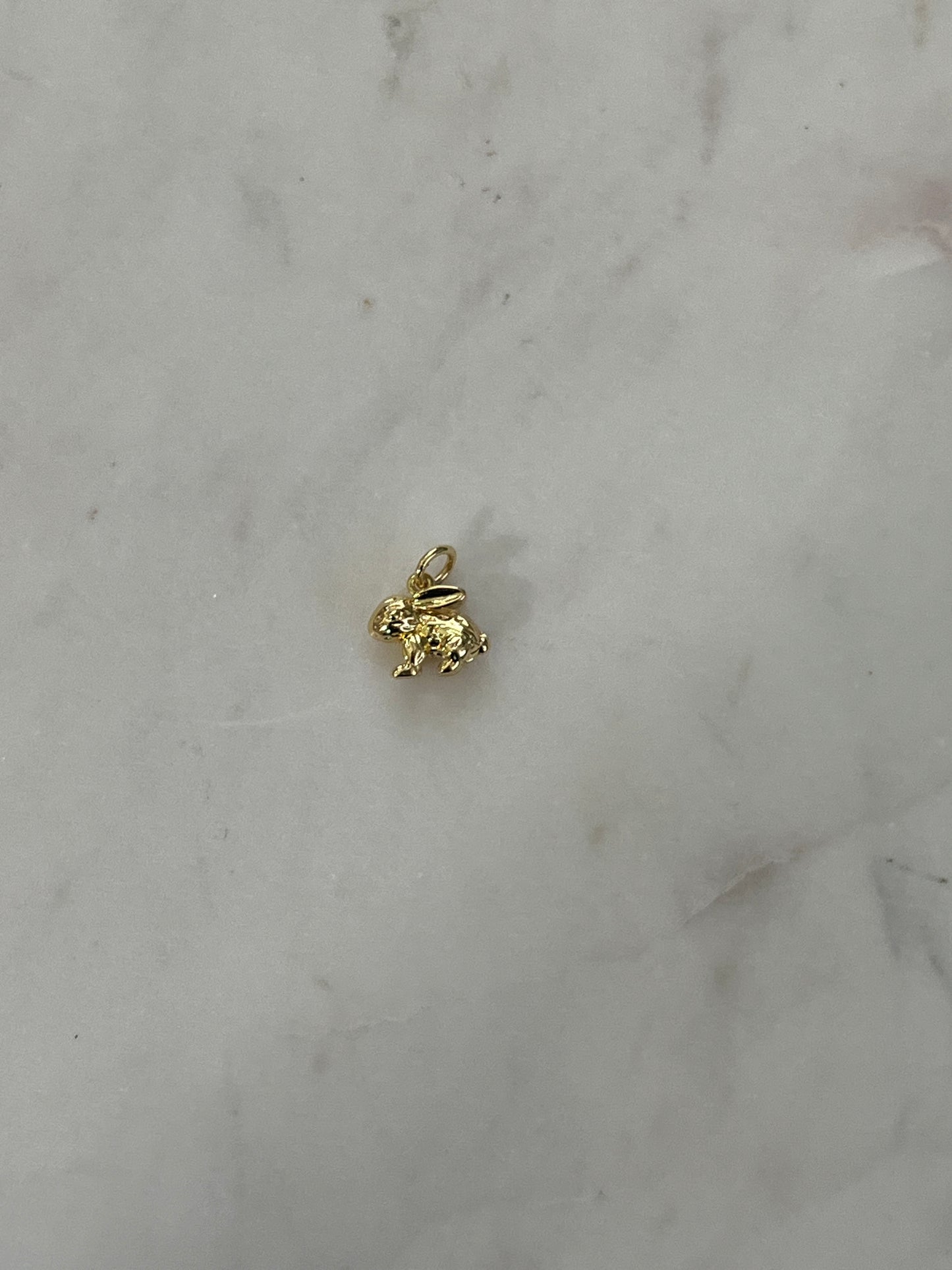 Rabbit charm