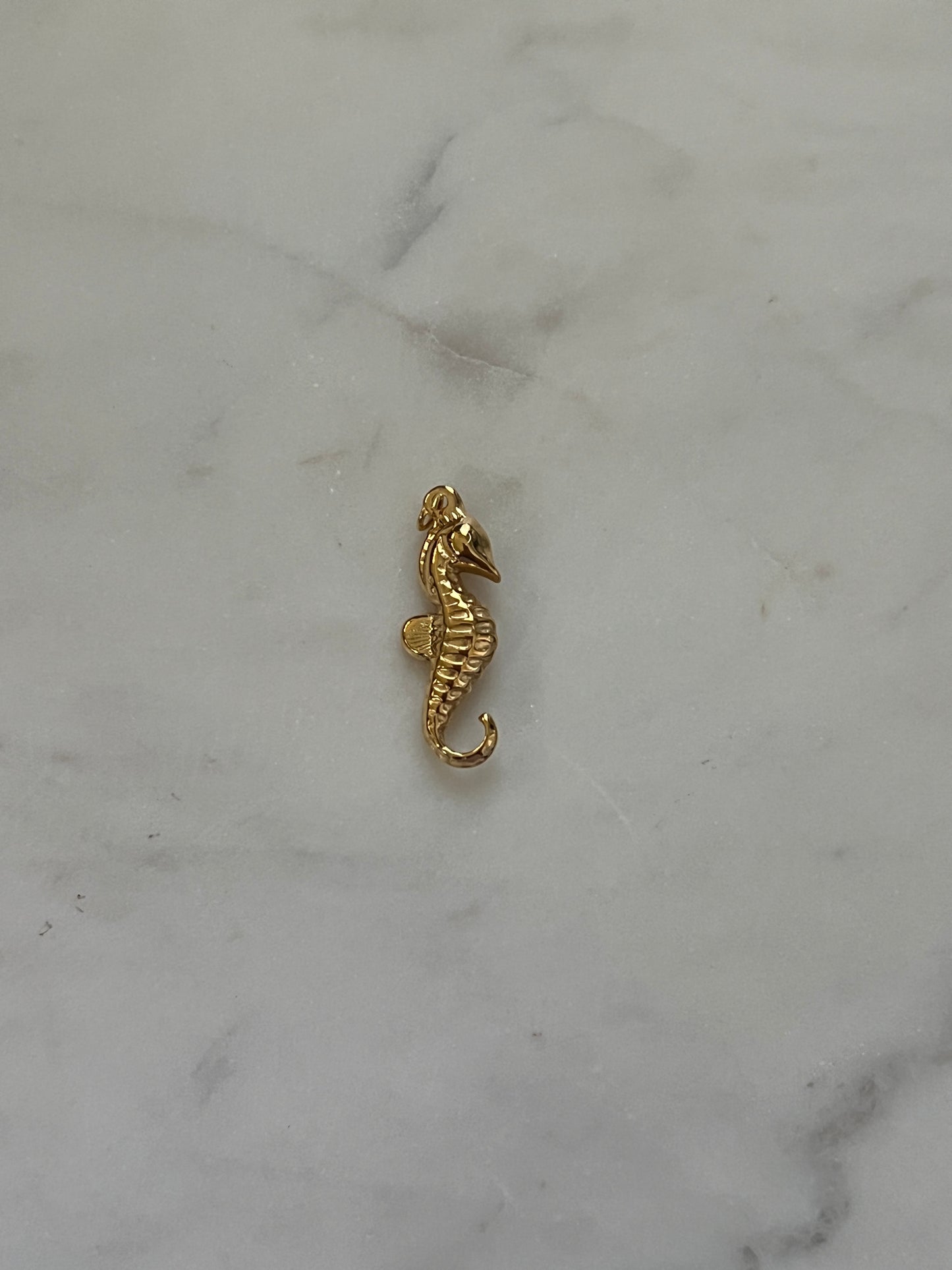 Seahorse charm