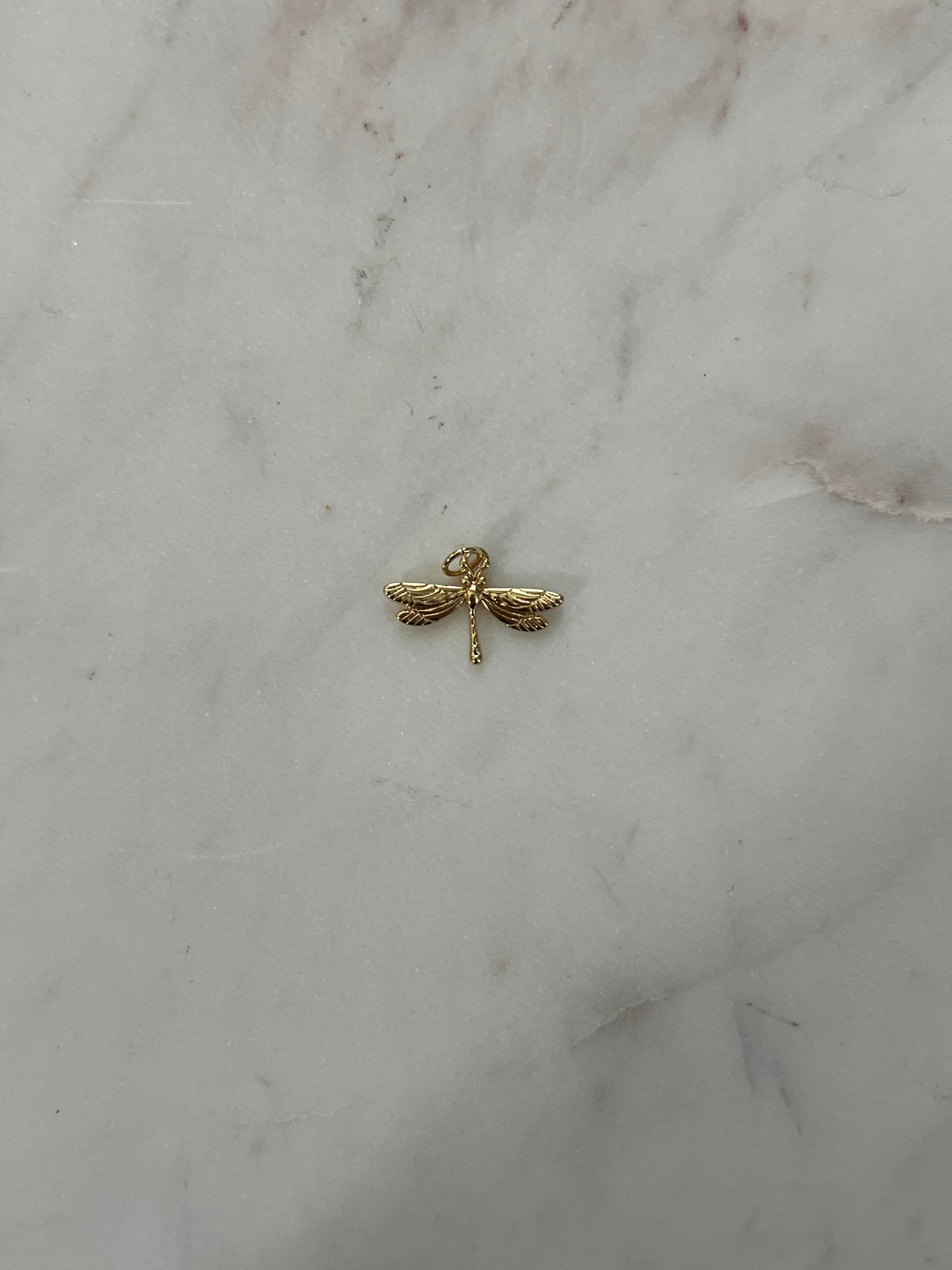 Dragonfly charm