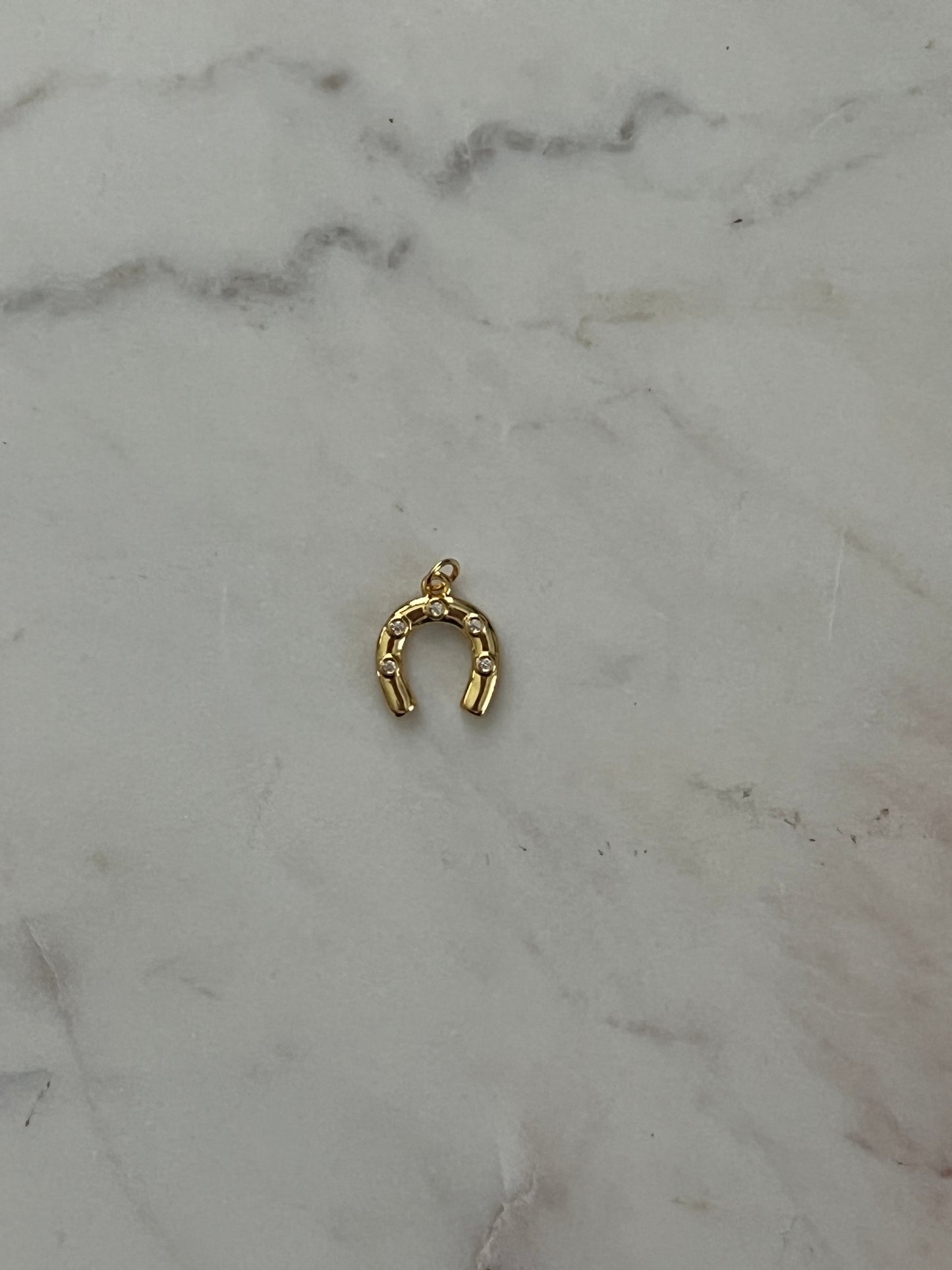 Horseshoe charm