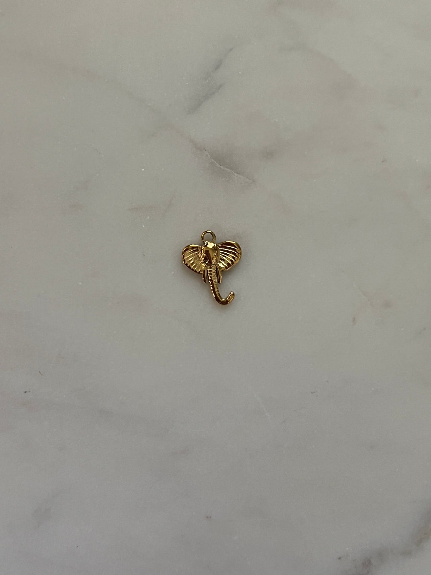 Elephant charm