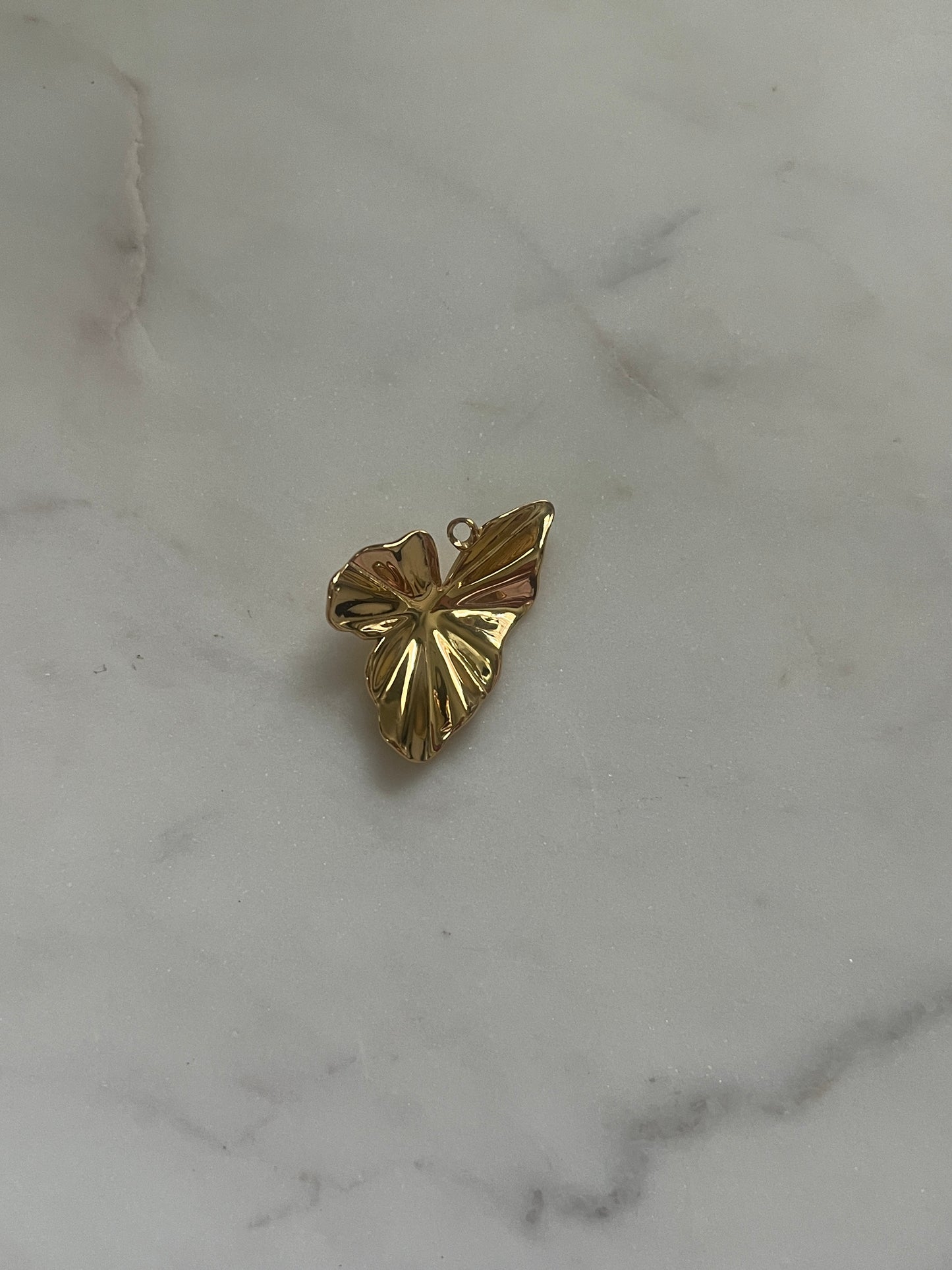 Monstera charm