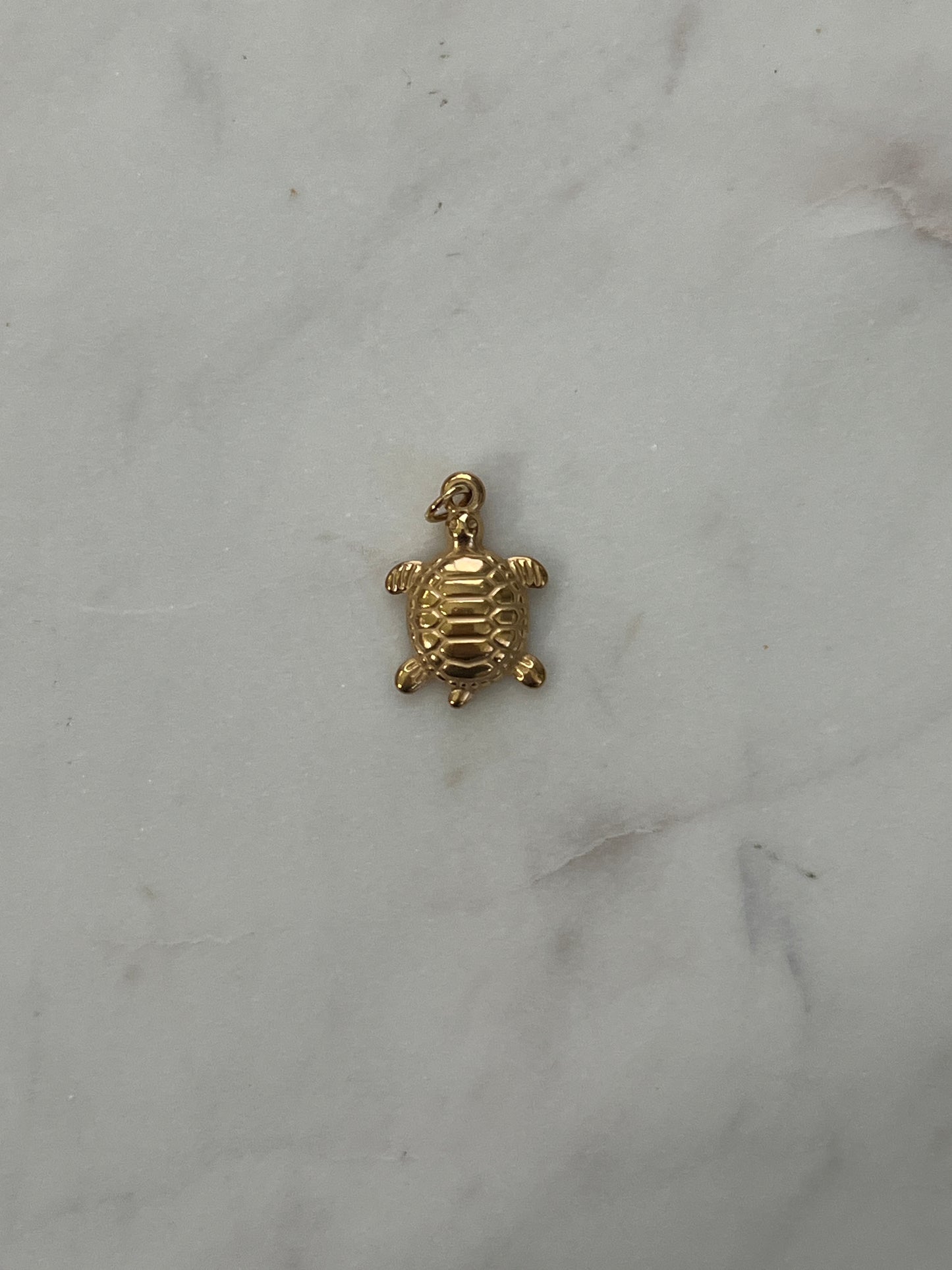 Turtle charm