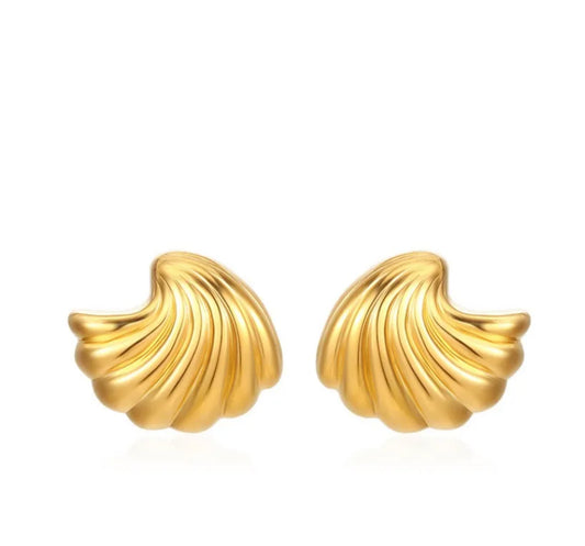 Shell earrings