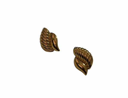 Gold shell earrings