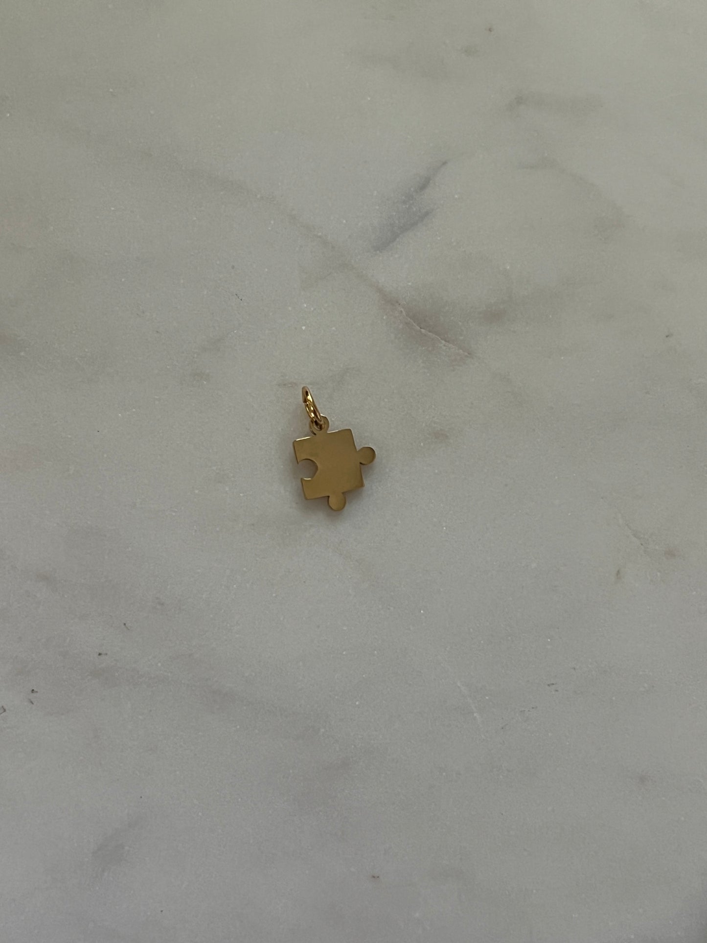 Puzzle charm