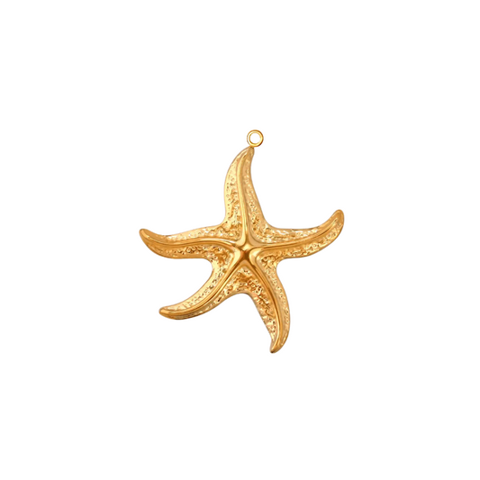Starleen charm