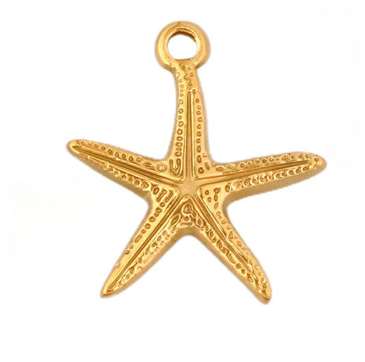Summer star charm