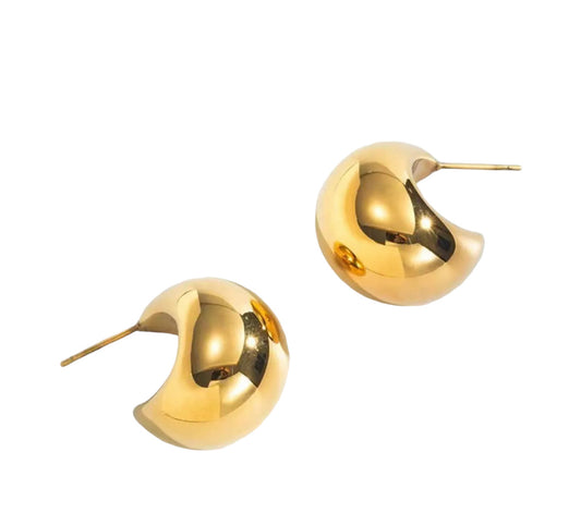 Gary earrings