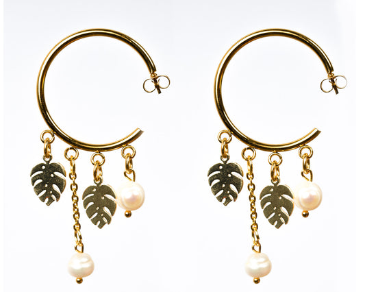 Paradise Hoops